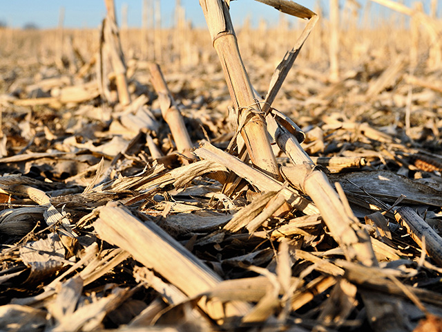 DowDuPont has announced it will sell its cellulosic ethanol plant in Nevada, Iowa, that uses corn stover as a feedstock, Image by Jim Patrico